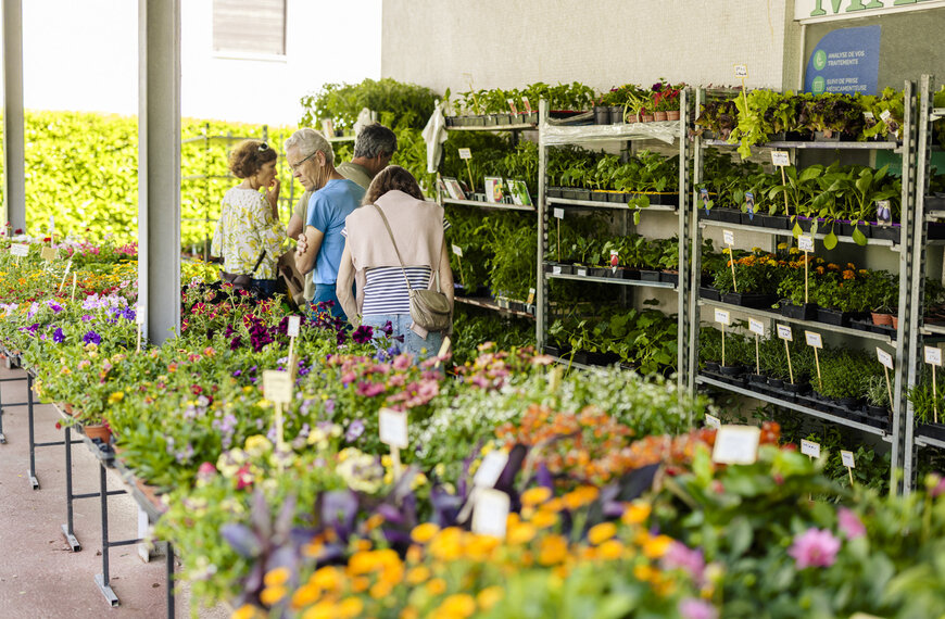 Marché ds jardiniers